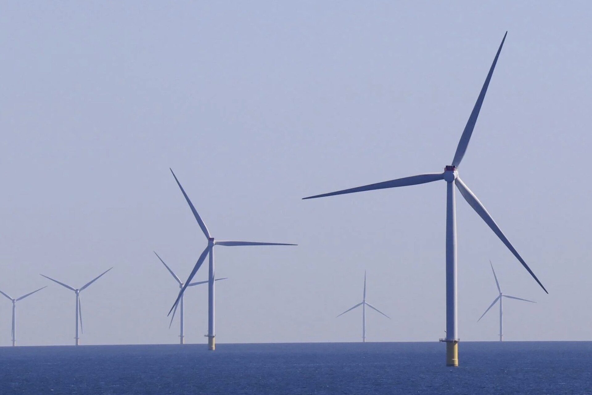 Tekmar Secures €8m Contract as Order Book Hits New High